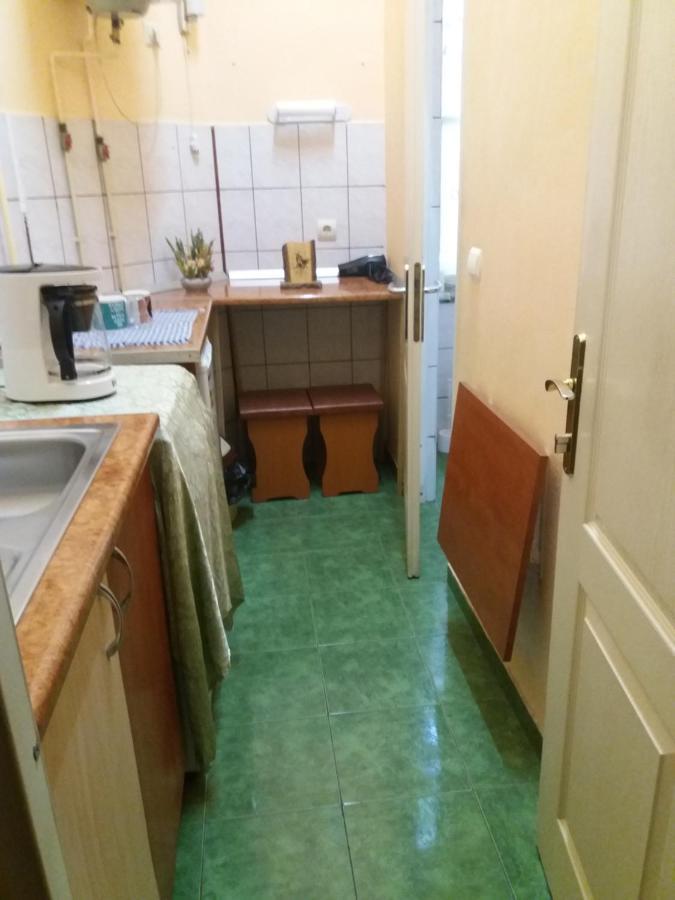 Апартаменты Garsoniera Alegna Сибиу Экстерьер фото